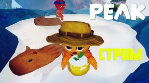 Зимний ПИК: встреча с Ментором скаутов! – PEAK #5