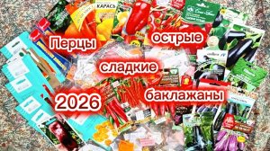 Какие перцы буду сажать в сезоне 2026? Сладкие и острые.Баклажаны.