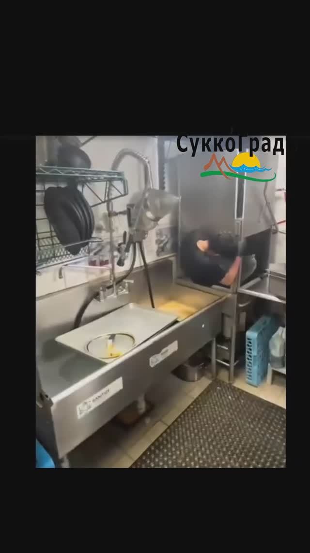 Когда к вам на работу приходит Служба гражданства и иммиграции США🤣 смотреть онлайн