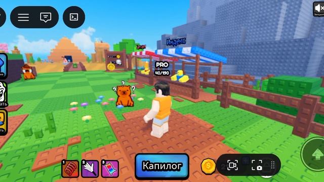 играю в режим найдите капибару в Roblox