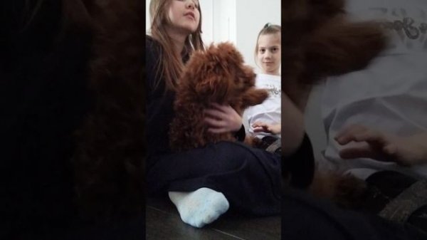 веселюсь у подруги в гостях