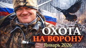 Охота на ворону в январе 2026