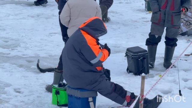 1000137424.mp4 смотреть онлайн