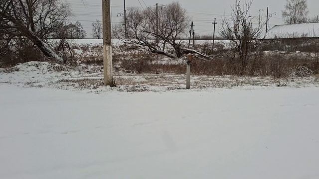 #обо_всем /предновогодняя поездка домой🏠🚂❤️ смотреть онлайн