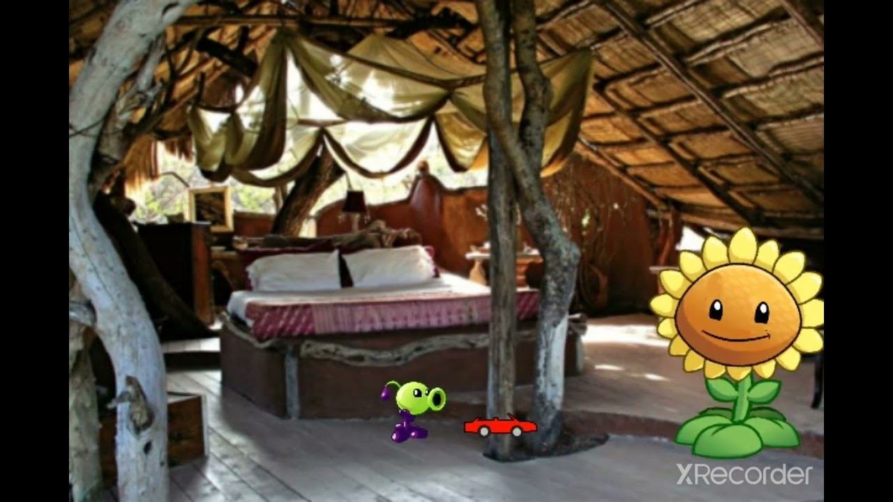 PVZ сестра