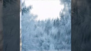 эдит с заснеженным лесом