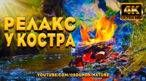 Релаксация у воды: Успокаивающий костёр, шум лесной реки и утреннее пение птиц для снятия стресса.