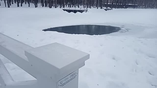 Прагулка по парку после новогодних праздников смотреть онлайн