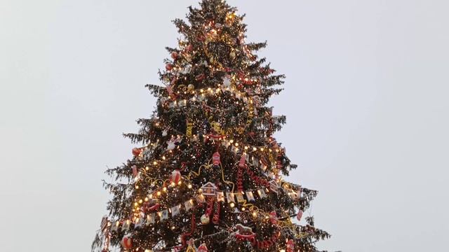 Главная ёлка в Санкт-Петербурге. Прогулка по центру города. смотреть онлайн
