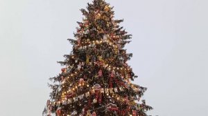 Главная ёлка в Санкт-Петербурге. Прогулка по центру города.