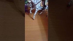 влог с тренировки