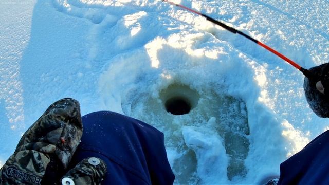 рыбалка там где рыбы нет смотреть онлайн