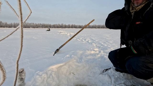 Проверка удочек. 31 день. смотреть онлайн