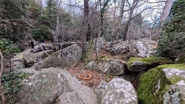 Воронцовский парк в Крыму. Алупка. смотреть онлайн