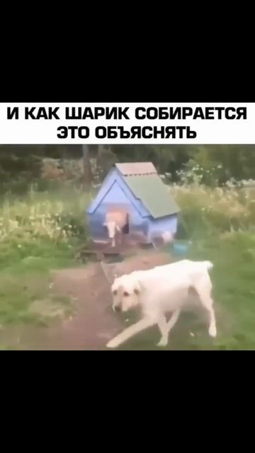 любовь она такая смотреть онлайн