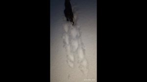 Фотки Лирики