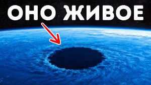 Морские биологи только что нашли нечто поистине невероятное