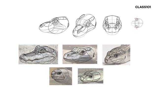 5-3 - How to draw reptile and bird heads смотреть онлайн