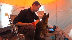 НОВОГОДНИЙ УЛОВ. ЗИМНЯЯ РЫБАЛКА В ПАЛАТКЕ!