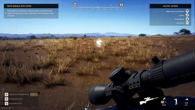 Way of the Hunter - 2026-01-04