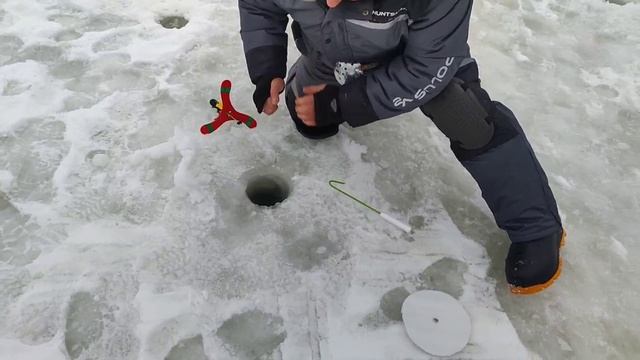 Обидный сход