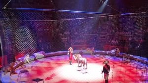 Стойкий оловяный солдатик Брянский цирк.  Аскольд Запашный