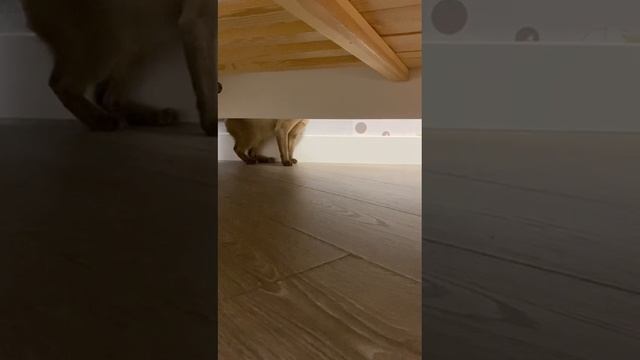 5 серия 1 сезон