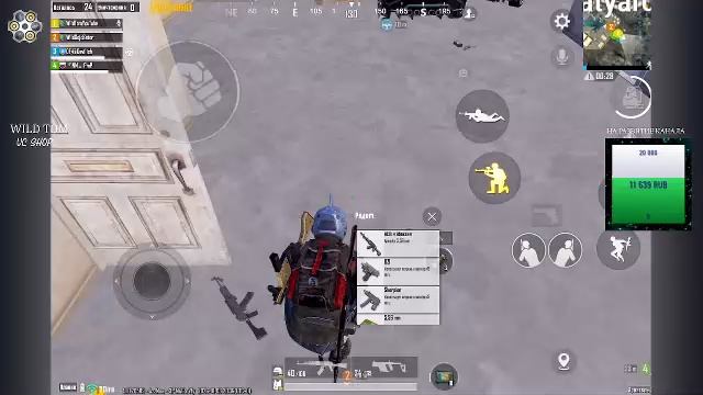 LIVE: WildTom_YouTube
