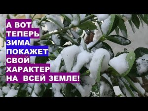 Январь 2026 - снежные катаклизмы или обычная зима?