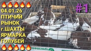 🔥🔥🔥 04.01.26 Сборная ярмарка голубей в г.Шахты. Птичий рынок. Pigeons Fair. Bird Market.