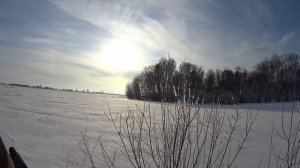 #Охота на зайца в Черепановском районе Новосибирской области