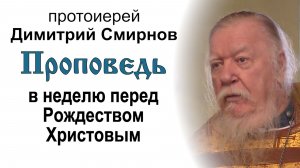 Проповедь в неделю перед Рождеством Христовым (2015.01.04). Протоиерей Димитрий Смирнов
