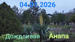 Анапа Дождливая 04.01.2026