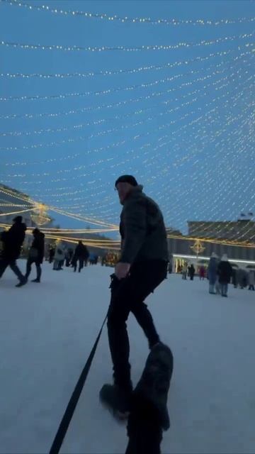 Рубрика «Просто, чтобы вы улыбнулись»