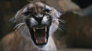 Дети леса 2 — Русский трейлер (2026)