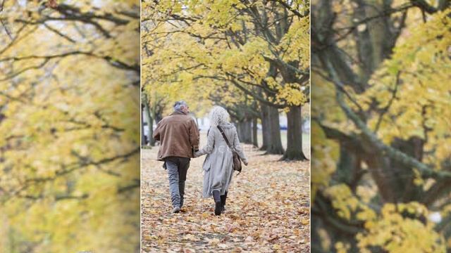 Ренат Харис ОТНЫНЕ смотреть онлайн