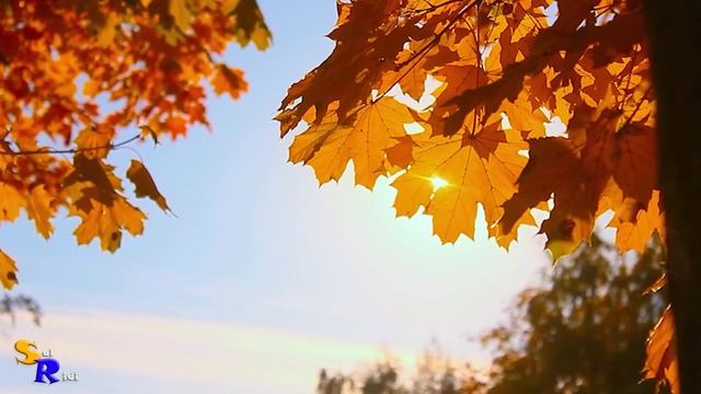 Осень стихи