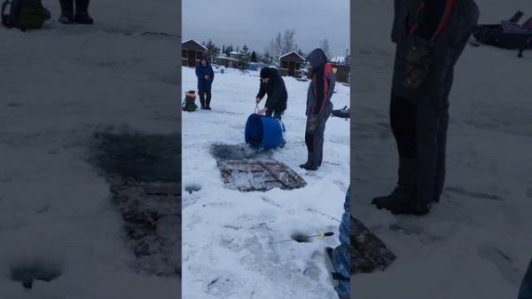 YouCut_20260105_120703434.mp4