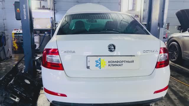 ШкОдА оКтАвИя А7 сИлИкАгЕль ♀️ кОмПлЕкСнАя ПрОмЫвКа с ГАРАНТИЕЙ смотреть онлайн