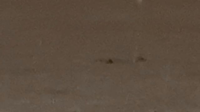 1000137487.mp4 смотреть онлайн