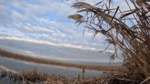 Охота на Утку🦆🦆🦆. Шикарное закрытие .