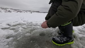 Рыбалка река Ока! Раздобыли и наловили рыбы! Рыбалка 2026