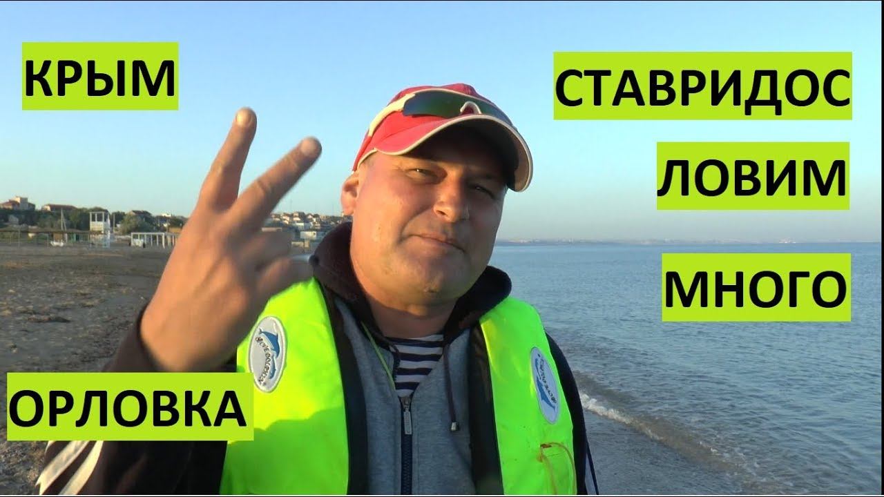 Севастополь. В Орловке много ставриды нынче