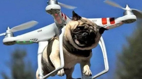 Беспилотники (ХК) от 04.01.2026