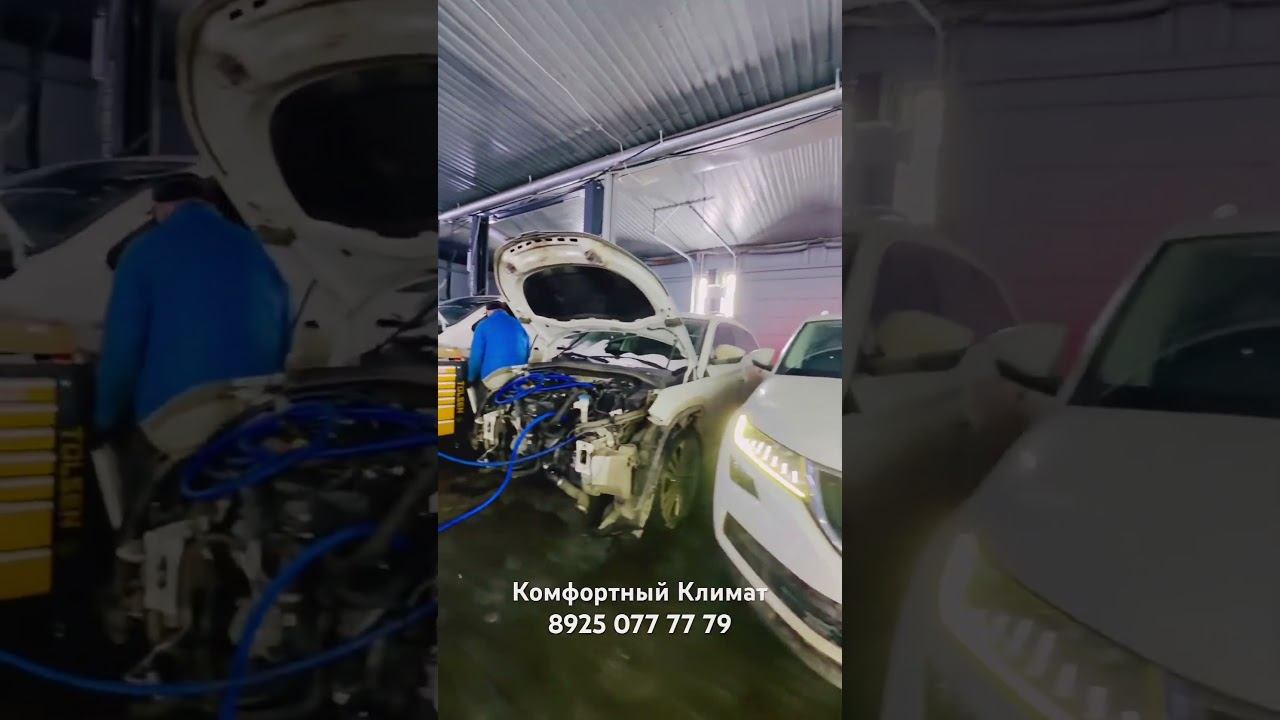 Шкода КОДИАК комплексная промывка от СИЛИКАГЕЛЯ SKODA KODIAQ -гарантия ✅ смотреть онлайн