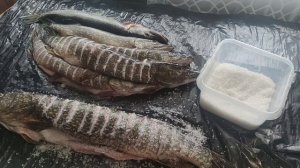 Щука. Как приготовить щуку холодного копчения