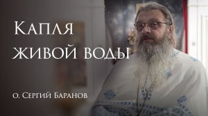 31.12.2025 Капля живой воды