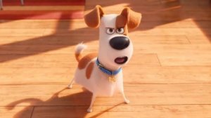 Жизнь домашних животных мультик нарезка