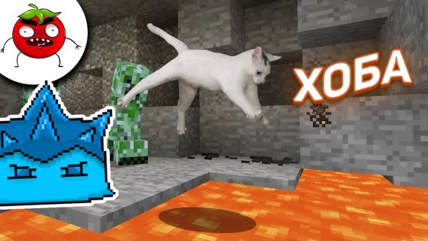 ЗАСМЕЯЛСЯ - ПРОИГРАЛ ► ЛУЧШИЕ ПРИКОЛЫ ( УЛЫБНУЛИСЬ ПРОИГРАЛИ ) | VladSkorp Реакция