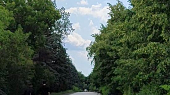 По аллее в парке Липецка смотреть онлайн